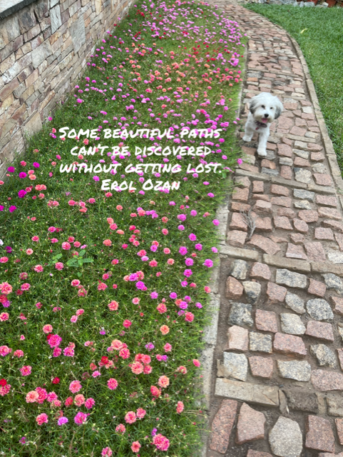 thumbnail_typorama (3)